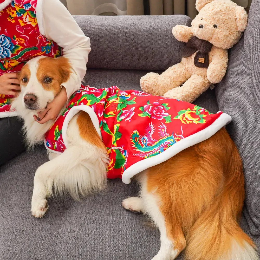 Winter hondenkleding honden ge - Winter Clothing Name recensie en prijs
