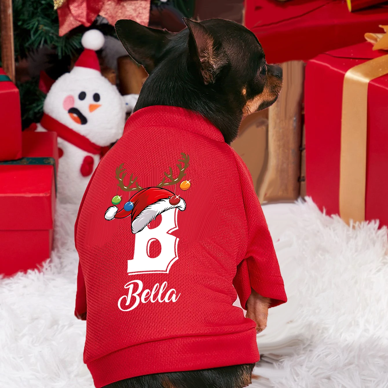 Gepersonaliseerde Kerst Honden - Winter Clothing Name recensie en prijs